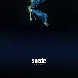 http://photoliveouestalbum.blogspot.fr/2016/01/night-thoughts-suede.html