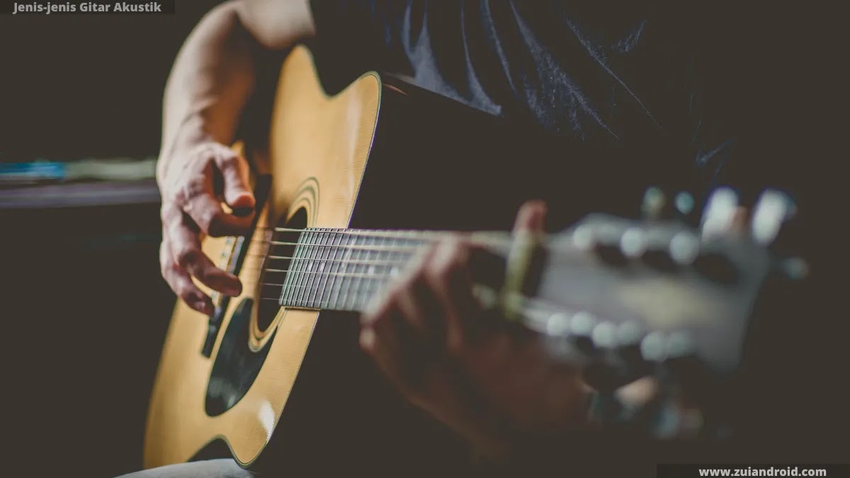 jenis gitar akustik,perbedaan gitar akustik dan elektrik,jenis gitar untuk pemula,jenis jenis gitar akustik,macam macam gitar akustik