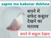 सपने में कबूतर देखना | Sapne Mein Kabutar Dekhna