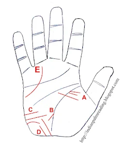 Travel Line In Palmistry, Interpretation Of Travel Lines With Figures | Palmistry