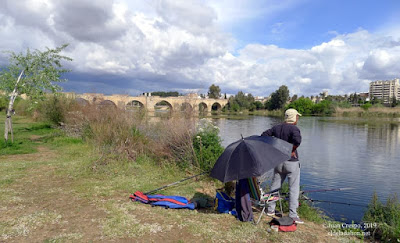 monesterio-badajoz