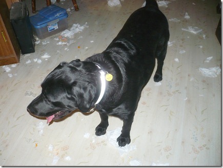 mess07-08-11e