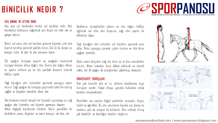 BİNİCİLİK NEDİR ?