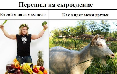 козел