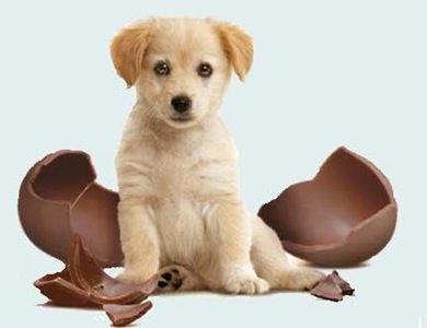 10525_sorpresa_LAV_solocucciolo2
