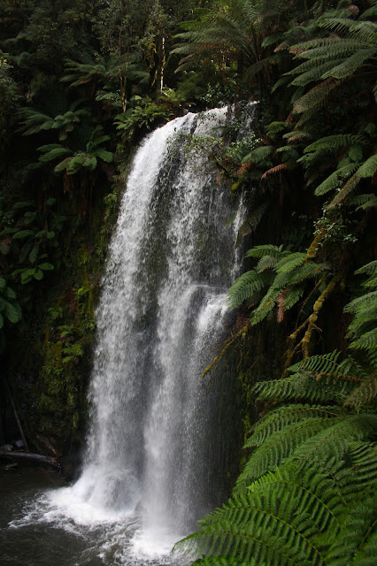 Beauchamp Falls, Beech Forest