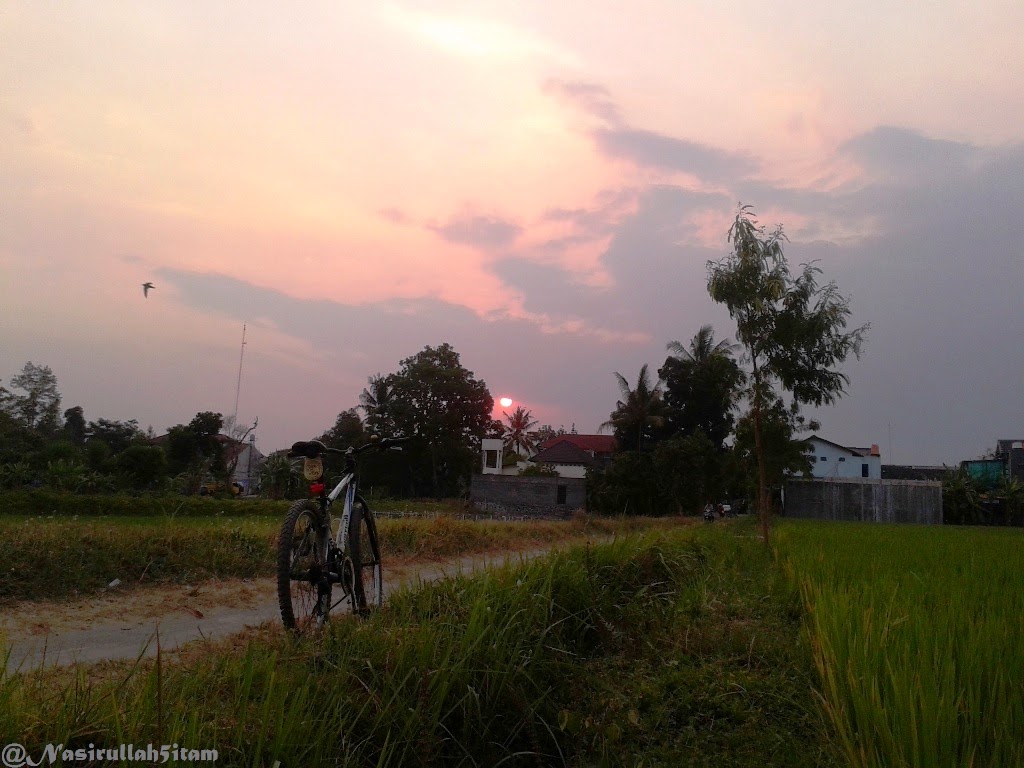 Memandang sunset dari pematang sawah