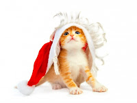 christmas kitten wallpaper for desktops