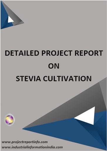 Project Report on Stevia Cultivation