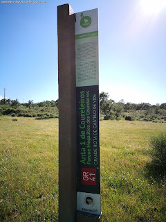 MENHIRS / Parque Megalitico dos Coureleiros, Castelo de Vide, Portugal