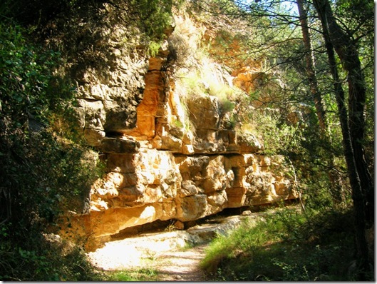 Irta Ebri-Argilaga-Parra-Ebri 050