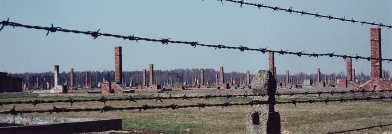 This Is How Auschwitz's Dying Inmates Struggled To Walk Towards Their Freedom