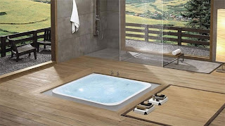 bathroom design with small pond