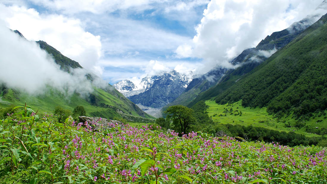 Valley of Flowers National Park, Uttarakhand