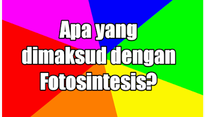 Apa yang dimaksud dengan Fotosintesis?