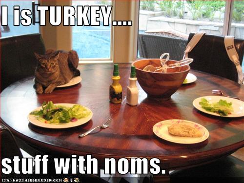 Funny Turkey Pictures