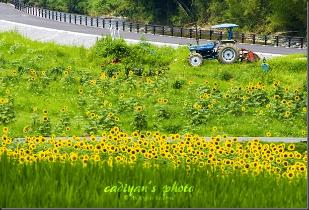 D700_2012-07-25_000