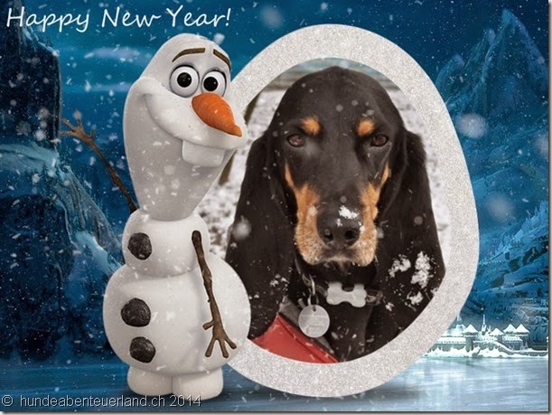 Paco 2015