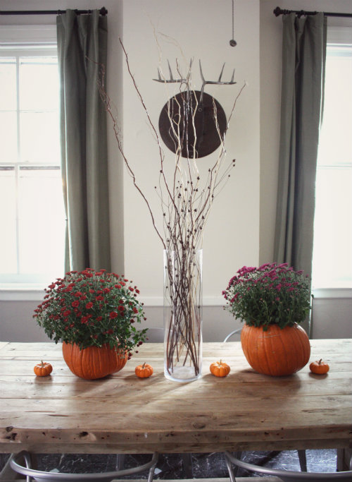 Pumpkin Planter Filler  Pumpkin planter, Autumn decorating, Fall