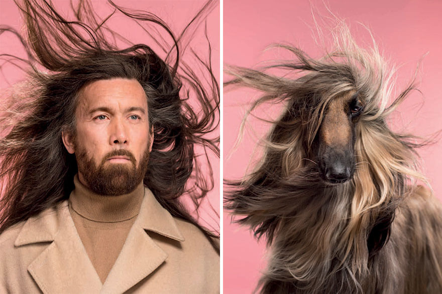 Photographer Puts Dogs Side By Side With Their Owners And Their Resemblance Is The Cutest Thing We Saw Today