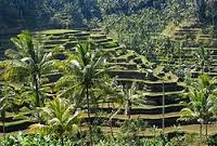 Pesona Keindahan Pulau Bali Indonesia