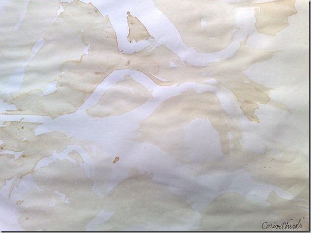 Sani pictati cu cafea - Breasts coffee painting