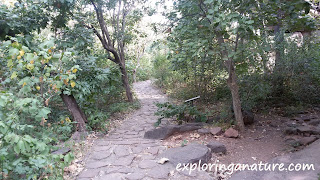 Bhimbetka, The Rock Shelters