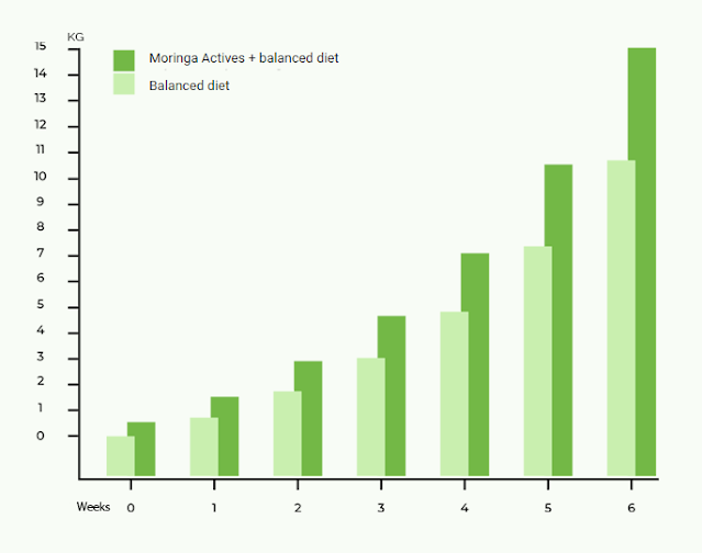 moringa actives for weight loss