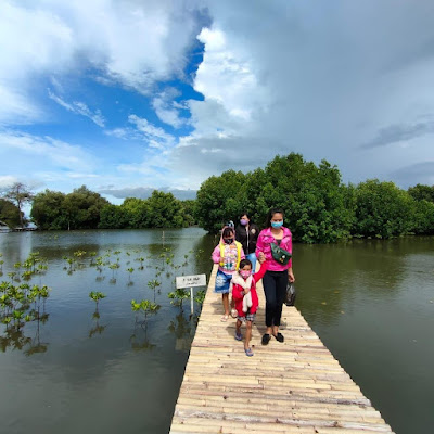 hutan mangrove yang terletak di Desa Muara, Kecamatan Teluknaga, Kabupaten Tangerang yang dulunya tidak produktif kini menjadi tempat harapan bagi para nelayan dan warga