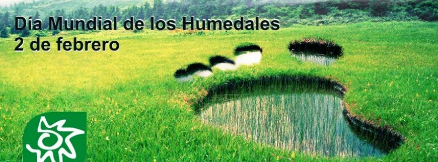 http://www.wwf.es/que_hacemos/agua_y_agricultura/problemas/uso_ilegal/dia_humedales/