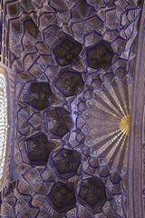 IMG_5575