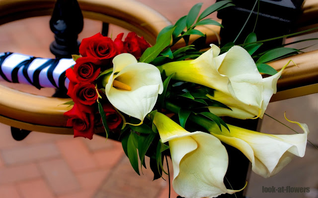 bouquet of white calla lilies and red roses