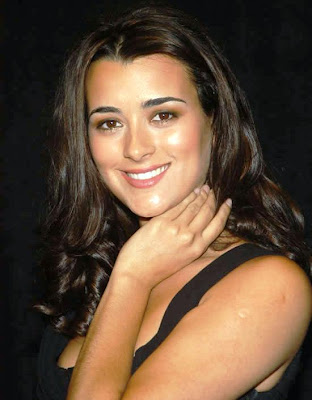 Cote de Pablo The one she took over for on her TV show is hot too