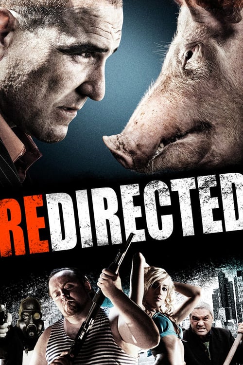 [HD] Redirected 2014 Pelicula Online Castellano