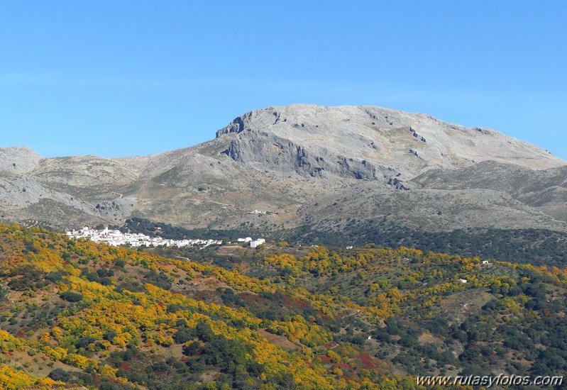 Por los castañares de Pujerra e Igualeja