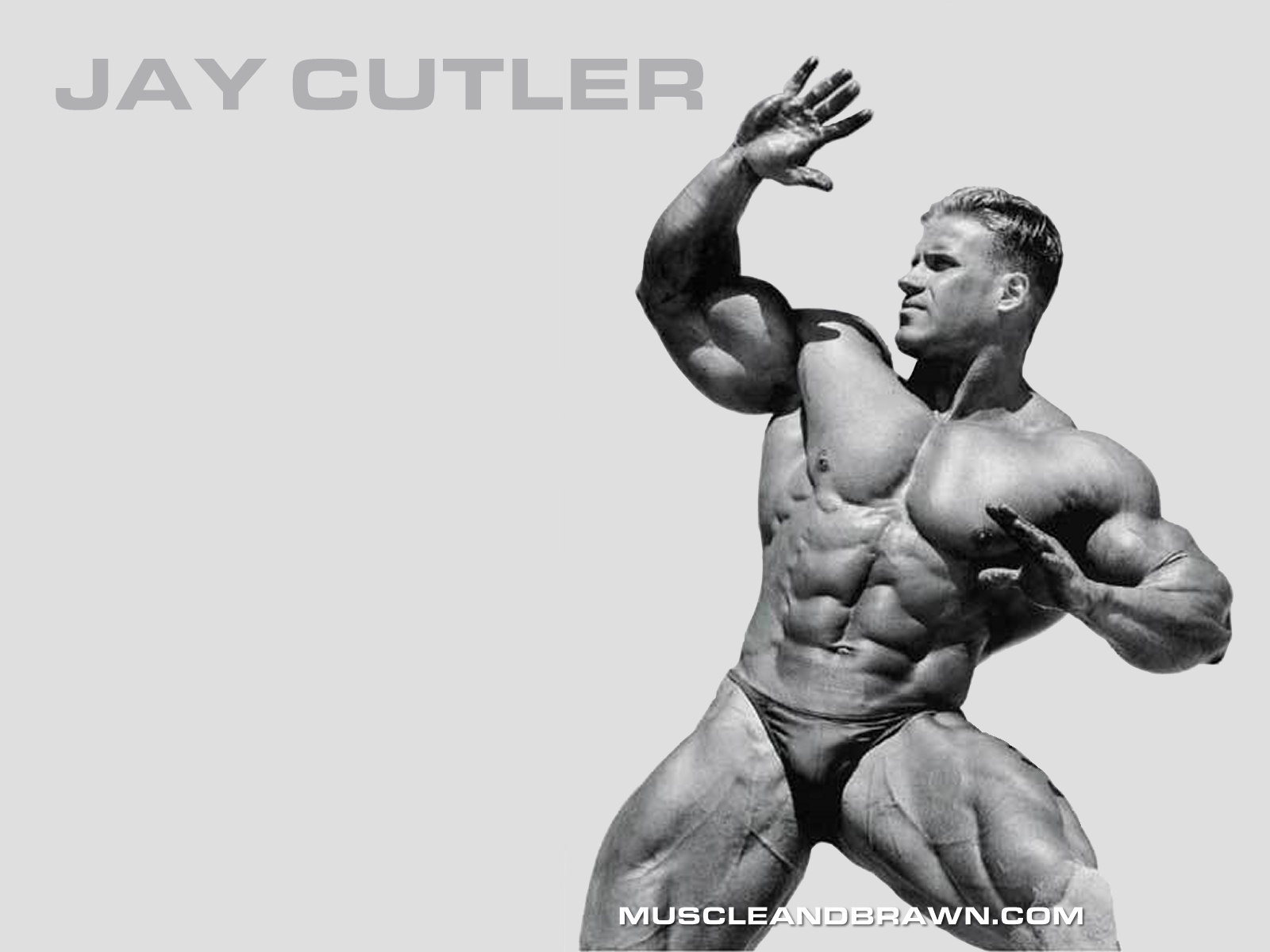 Jay Cutler Stunning Wallpapers ~ 521 Entertainment World