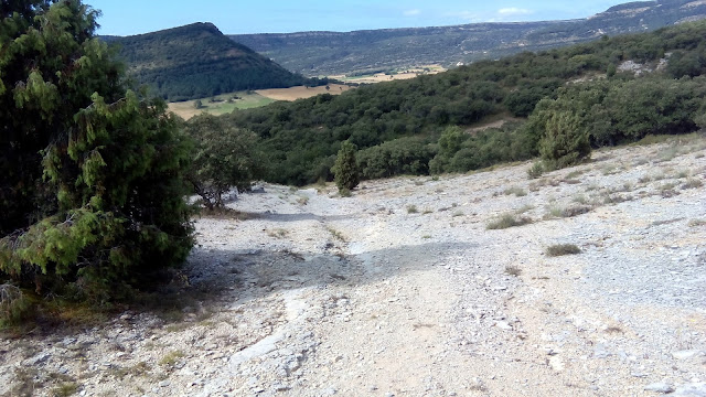 Ojo Guareña MTB