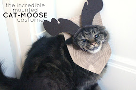 The Incredible Cat-Moose Costume DIY #MichaelsMakers