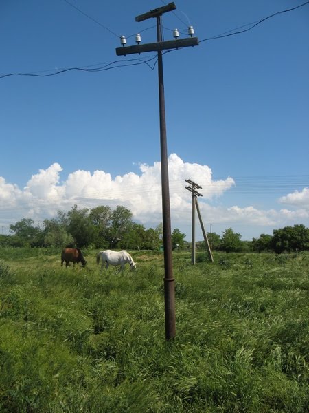 Столб Сименс в Крыму