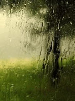 Animated Rain