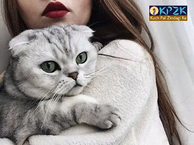 Cat Lover | Part - 2