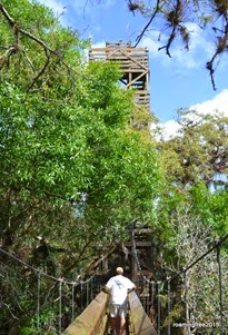 The tower