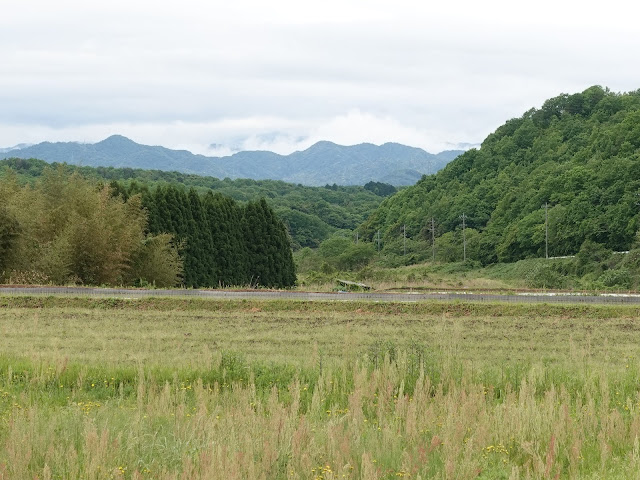 鳥取県米子市淀江町本宮　精進川沿いの道