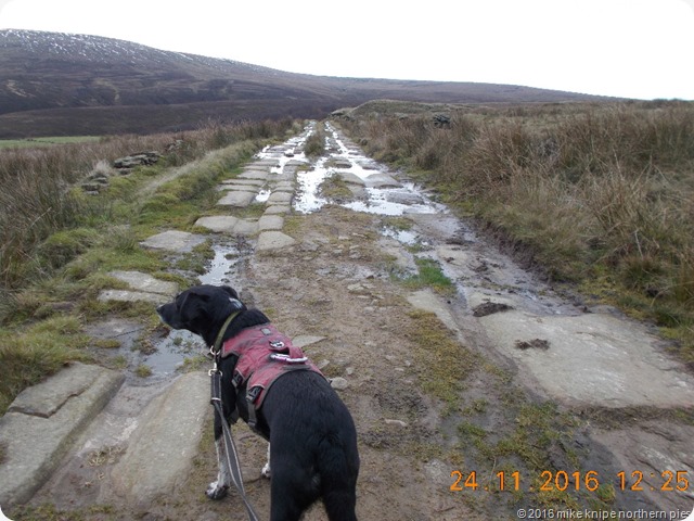 ltd on the quarry haul road above marsden clough almondbury II 011