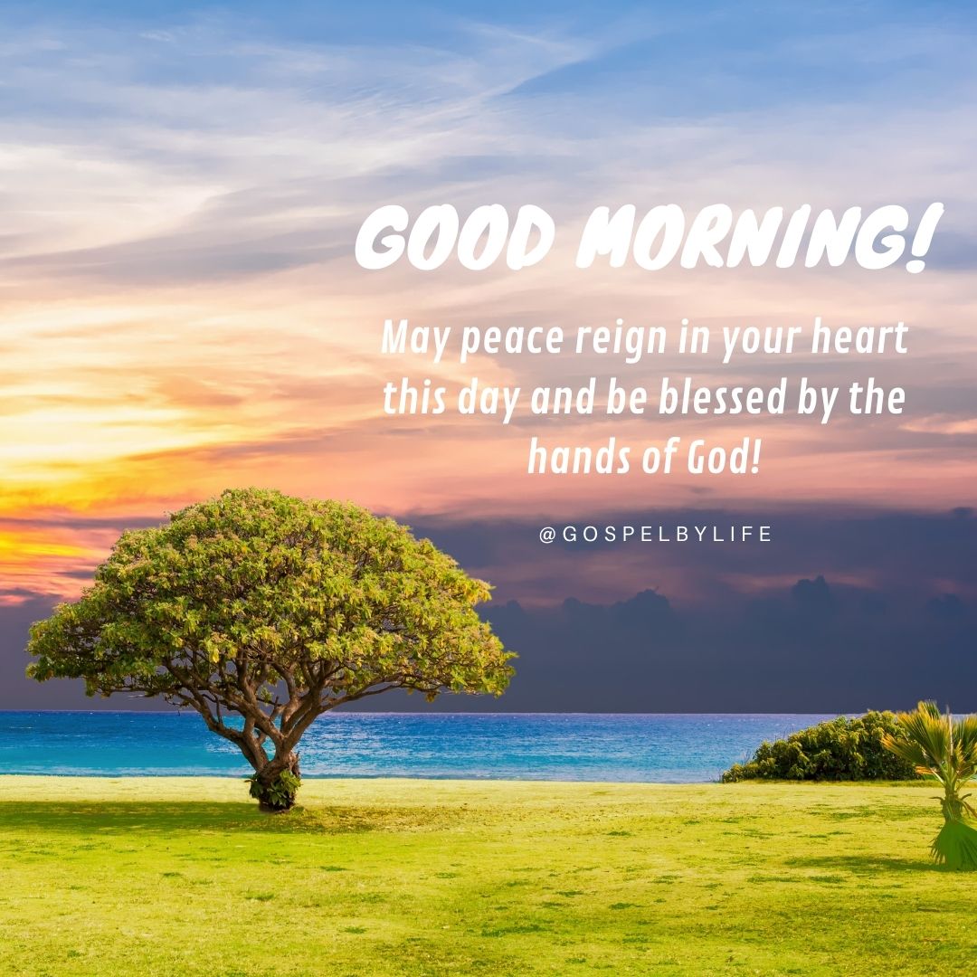 Good morning God bless you and keep you