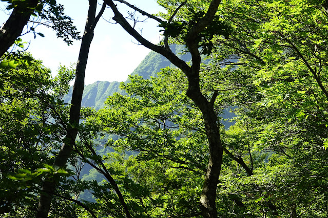 鳥取県西伯郡大山町大山　だいせんホワイトリゾート国際エリアの尾根道からの眺望