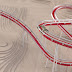 Rotating Vectors with a Curve Banking System in Houdini