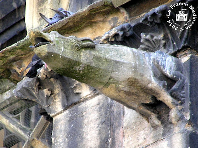 COLMAR (68) - Collégiale Saint-Martin (XIIe-XVe siècles)