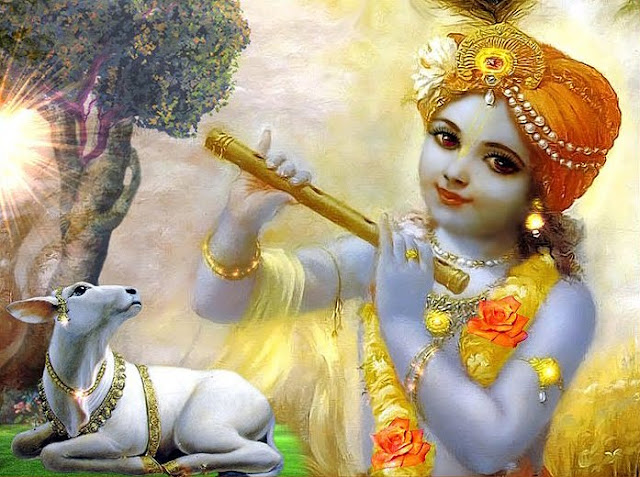 Always Remember this Most Amazing of All Persons- Sri Krishna