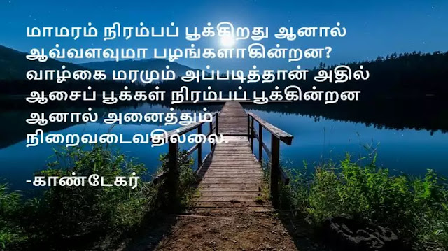 Quotes about Desire in Tamil 20
